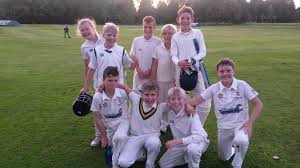 Image result for Barnards Green Cricket Club