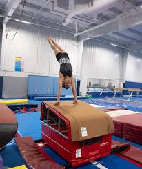Image result for Torbay Olympic Gymnastics Club