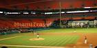 Florida Marlins- Miami Sports - Miami Travel Guide