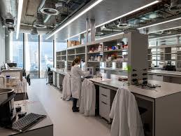 Image result for Imperial College