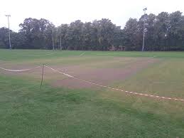 Image result for Hillhead Cricket Club