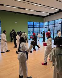 Image result for Bytomic Taekwondo Bicester
