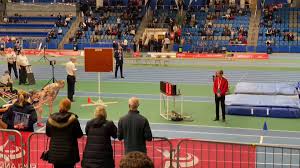 Image result for Blackheath & Bromley Harriers Ac