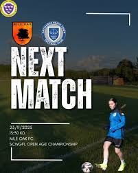 Image result for Haywards Heath Town Ladies Football Club