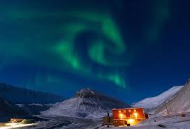 Image result for Ildblomkarse