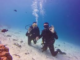 Image result for Lutterworth Sub-Aqua Club