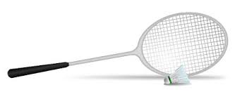 Image result for Salisbury Junior Badminton Club