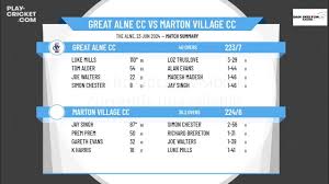 Image result for Alne Cricket Club