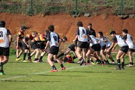 Image result for St Albans Rugby Football Sports & Social Club