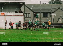 Image result for Hayle Rugby Football Club