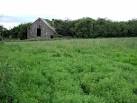 Ysgol Garn Ochor/Henry's Moat - via Daymix