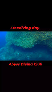Image result for Abyss Dive Club