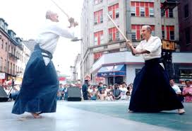 Image result for Aikido - Shobu UK