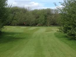 Image result for Tredegar Park Golf Club