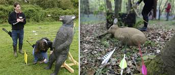 Image result for Chessington Bowmen