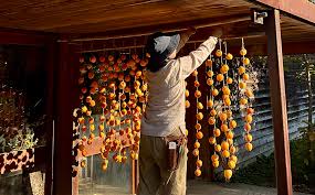 「柿の木利江」の画像検索結果