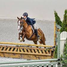 Image result for Patchett`s Green Riding Club