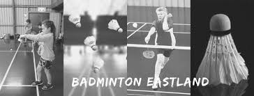 Image result for Hayley Badminton Club (Sunday Smashers)