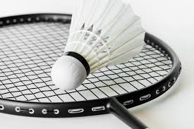 Image result for Feathers Badminton- Leatherhead
