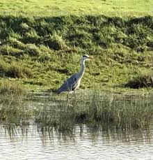 Image result for Polegate Rambling Club