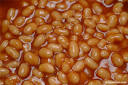 baked beans pronunciation