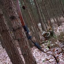 Image result for Panther Bowhunters Field Archery Club