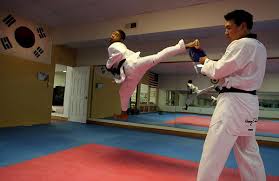 Image result for Parkgate Taekwondo Club