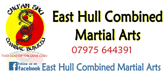 Image result for Hull Kung Fu