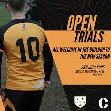 Image result for Ashtead Football Club