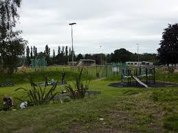 Image result for Yeovil Olympiads Athletics Club