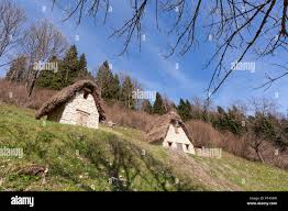 Image result for Seren Dwr