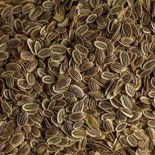 Attēlu rezultāti vaicājumam “Anethum graveolens”