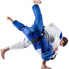 Image result for Merseyside Judo Academy