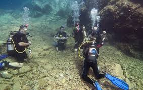 Image result for 3D Diving Club