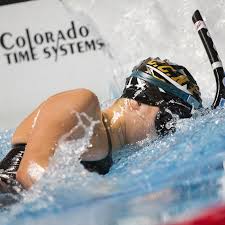 Image result for Swansea Finswimming Club