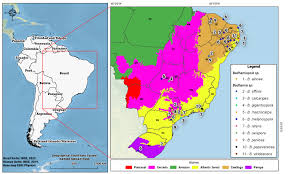 Attēlu rezultāti vaicājumam “Badhamiopsis scripta spores”