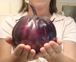 Afbeeldingsresultaat voor melanzana prosperosa eggplant