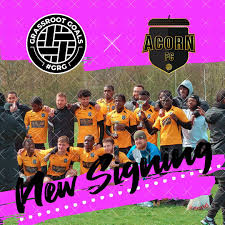 Image result for Ockley Acorns Junior F C