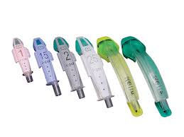 Image result for Igel