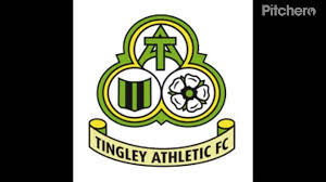 Image result for Tingley Athletic