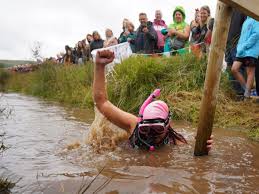 Image result for World Champion Bog Snorkelling Triathlete