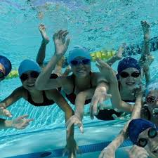 Image result for Huntingdon Piranhas Swimming Club