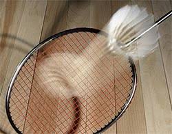 Image result for Marske Jnr Badminton Club