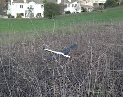 Image result for General Tomfoolery Slope Soarers