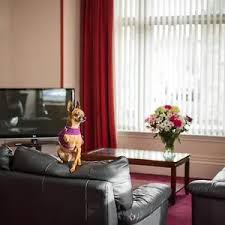 Image result for Stuartfield Bowling Club