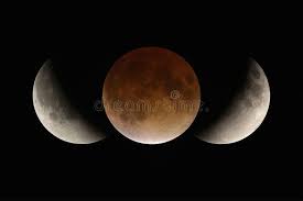 Attēlu rezultāti vaicājumam “Panolis umbra”