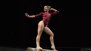 Image result for Tessaro Gymnastics Club