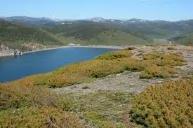 Attēlu rezultāti vaicājumam “Cladopodiella francisci”