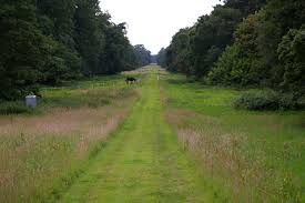 Image result for North Runcton Cc