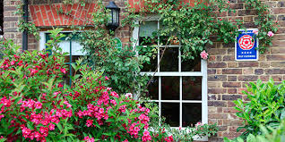 Image result for Rodmersham Squash & Fitness Club